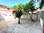 Immagine 24