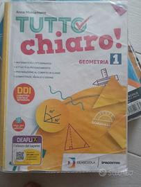 tutto chiaro geometria 