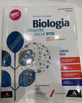 Libro