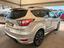 Immagine 6