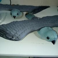 Dissuasori per volatili