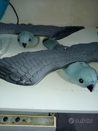 Dissuasori per volatili