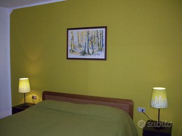 Vacanze sula neve