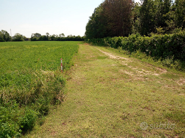 Terreno agricolo