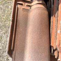 Tegole portoghese antticizzate