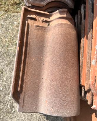 Tegole portoghese antticizzate