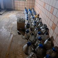 portalampada per riscaldamento animali