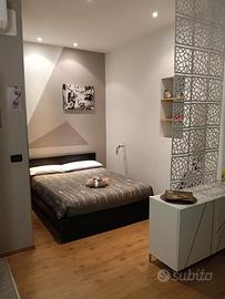 Ampio Monolocale vicino Porta Susa