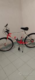 bicicletta mountain bike da uomo misura 26"