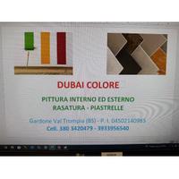 Pittore per interno ed esterno