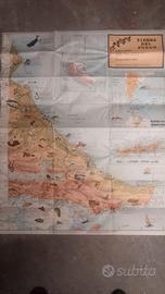 Mappa pittorica della Terra del Fuoco