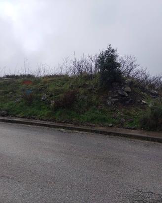 Terreno Edificabile - Vizzini