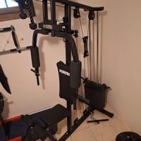 Palestra