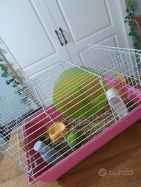 gabbietta per animali con oggetti accessori