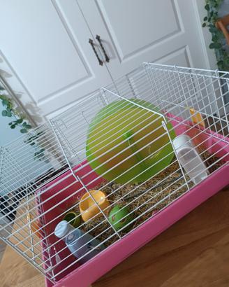 gabbietta per animali con oggetti accessori