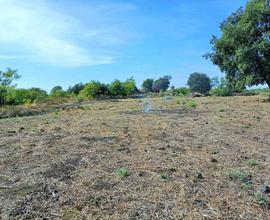 Rif.GL207| terreno agricolo aci sant'antonio