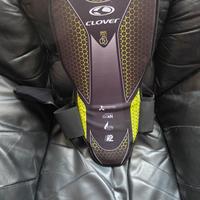 tartaruga paraschiena 