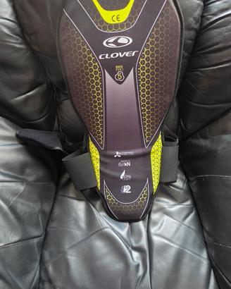 tartaruga paraschiena 