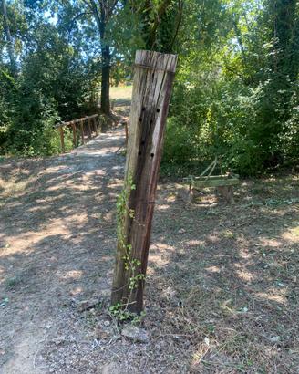 Travi in legno