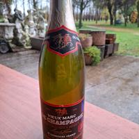 Bottiglia vieux marc de champagne 