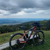 MTB WILIER TRIESTINA 501XN 29" - M