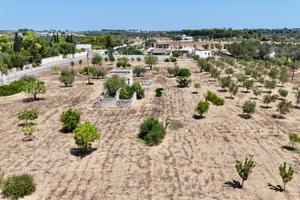Rustico/Casale/Corte - Novoli