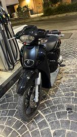 Scarabeo piaggio 2018