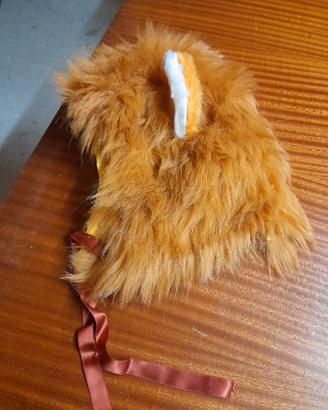 parrucca/cappuccio, costume da leone