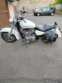 Harley Davidson 883 custom