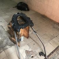 Porta pacchi perr moto hornet