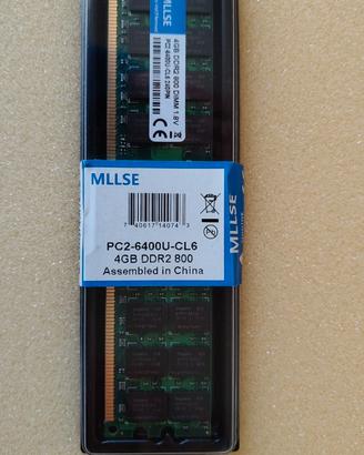SOLO AMD RAM PC2-6400U-CL6 4GB DDR2 800