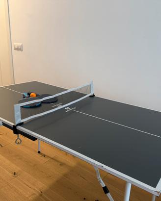 Tavolo ping pong