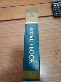 enciclopedia word book 