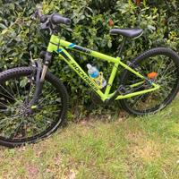 Bicicletta