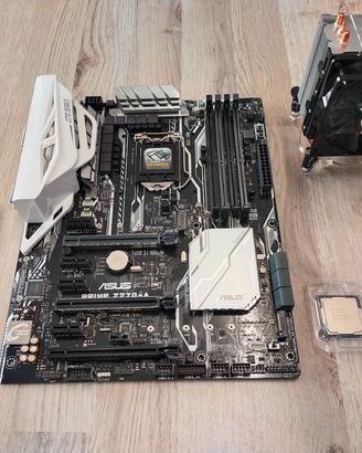 Kit scheda madre, processore, ram