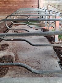 Battifianchi per bovini