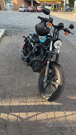 Harley Davidson Sportster Iron 1200