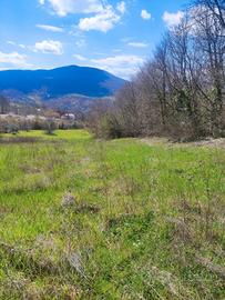 Terreno 4000mq - Panoramico,servito,fronte bosco