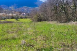 Terreno 4000mq - Panoramico,servito,fronte bosco