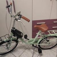 Bicicletta stile vintage 