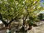 Immagine 25