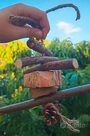 Gioco per pappagalli