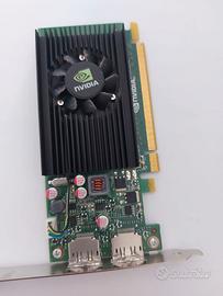 NVIDIA  NVS310
