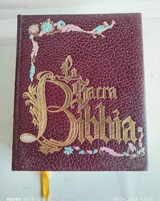 La Sacra Bibbia Edile Illustrata