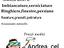 Immagine 6