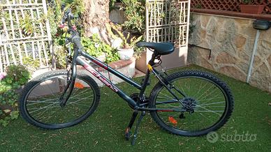 Bici F.lli Schiano Ghost MTB 26'' Donna, Antracite