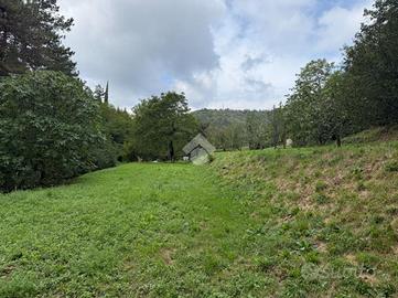 TER. AGRICOLO A PROVAGLIO D'ISEO