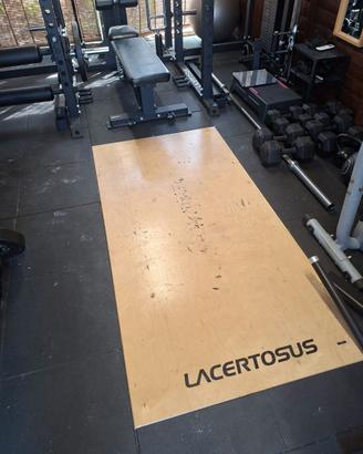 Home Gym professionale LACERTOSUS