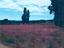 Immagine 6