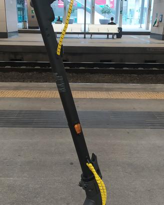 Monopattino Ninebot G30Max 